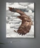 Картина по номерам "Величие полета" 40*50 см 11507-AC - изображение 2