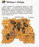 Детская энциклопедия про насекомых 614014 для дошкольников - изображение 3