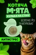 Котяча м'ята іграшка для котів Смаколик Pet toy (зелений) - зображення 1