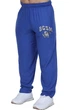 Штаны спортивные легкие Big Sam 1204 Синие XL - изображение 1