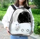 Прозрачный рюкзак для переноски Pet Cat PC-42 кошек и собак Черный (JDT-0847530) - изображение 8
