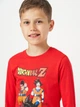 Детская пижама для мальчика Dragon ball Z DB Z 52 04 002 128 см Красный/Черный (5904009165541) - изображение 5