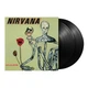 Вінілова платівка Nirvana - Incesticide [2LP] - изображение 2