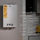 Газовая колонка Thermo Alliance дымоходная 10 л водонагреватель для бытового использования. (598866) - изображение 3