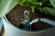 Вставка з автополивом Elho self-watering insert 28 см - изображение 4