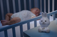Lampka nocna Chicco First Dreams Króliczek Szary (8058664162413) - obraz 6