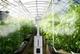 Ультразвуковой промышленный увлажнитель воздуха 15л Doctor-101 GardenFog. Туманообразователь для теплиц и оранжерей с четырёхсторонней насадкой (HQ-JS150H) - изображение 6