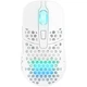 Мышь компьютерная игровая Cherry Xtrfy M42 с RGB-подсветкой, комбинированое подключение 2.4G+USB Белый (M42W-RGB-WHITE) - изображение 1