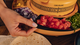 Urządzenie do podgrzewania tacos Cecotec Fun Taco Andale - obraz 4