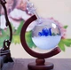 Барометр Штормгласс Глобус большой с Розой 22х15 см Storm glass на деревянной подставке - изображение 1