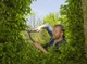 Ножницы для живой изгороди Gardena NatureCut (12300-20.000.00) - изображение 8