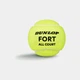 Мячи для тенниса Dunlop Fort TS 4B пластик банка (601607) - изображение 2