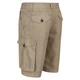 Шорти Shorebay Short Regatta RMJ221-3HE 38 Бежевий (5059404577484) - зображення 3