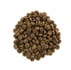 Сухой корм Brit Care Cat Grain Free Sensitive HDigestion Delicate Taste для кошек с чувствительным пищеварением, индейка и лосось, 2 кг - изображение 3