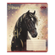 Зошит 24арк. # ZiBi 1770 HORSES (20) /ZB25.1770K/ - изображение 1