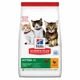Сухой корм Hill's SP Kitten Chicken 300 г (607660) - изображение 1