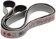 Тренировочный ремешок Select Trainingband 4 "My training" (990) Серый (5703543404377) - изображение 2