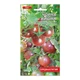 Насіння томат Чорна вишня середньостиглий 0.1 г - зображення 2