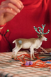 Figurka Schleich Renifer Rudolf 2022 72189 (4059433619958) - obraz 2