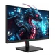 Ігровий монітор TITAN ARMY P2510H Flat 16:9 HVA FHD 240Hz - изображение 6