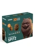 Картонный конструктор "Cartonic 3D Puzzle Pomeranian spitz" цвет коричневый Cartonic ЦБ-00235333 - изображение 1