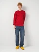 Світшот чоловічий Calvin Klein Jeans 11504 L Бордовий (smt2000000034232) - зображення 3