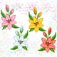 Водорастворимый флизелин с рисунком 20*30 см для вышивки "Лилии", Confetti - изображение 1