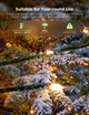 Гірлянда Smart LED Govee H80C4 Christmas String Lights 2, RGBWIC, 20м, кабель прозорий (H80C4C41) - зображення 6