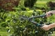 Ножиці для живоплету Gardena EasyCut з ергономічними ручками з армованого пластику зелені - зображення 14