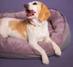 Овальный лежак Harley and Cho Donut Soft Touch Pink L (100х70х21) (3102866) - изображение 6