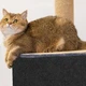 Захисна дряпка для кота Cat Protect самоклеючий розрізний килимок - кігтеточка для дивану меблів та шпалер 30х100 см Чорний 1 шт - изображение 2