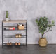 Полиця для взуття ModernHome by Multistore 3 рівні лофт (XJ633063A1) - зображення 7
