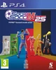 Sociable Soccer 25 (PS4) - изображение 1