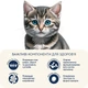 Сухой корм для котят HOME FOOD Fresh Chicken For kittens 1-12 months 400 г - изображение 4