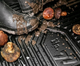 Dywaniki samochodowe Frogum No.77 Hyundai Kona Electric II 2022 3 szt (5902643401686) - obraz 2