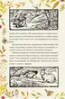 Казка про містера Лиса. Казка про місіс Кольколь - Беатрікс Поттер (9789660384774) - зображення 7