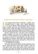 Пеппі Довгапанчоха. Книга 1 - Астрід Ліндґрен, Арсен Джанікян (9786178280550) - изображение 2