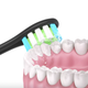 Сменные насадки Oclean для электрической зубной щётки, 4 штуки, черный, средней жёсткости - изображение 4