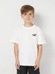 Подростковая футболка для мальчика Puma Ess Small No. 1 Logo Relaxed 68492002 170-176 см White (4067983296024) - изображение 1