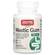 Смола мастикового дерева Mastic Gum Jarrow Formulas, 500 мг, 60 капсул - изображение 1