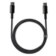 Дата кабель Baseus Tungsten Gold Type-C to Type-C Cable 100W (1m) (CATWJ-01) Чорний - зображення 1