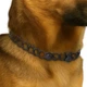 Ошейник от блох и клещей SUPERIUM противопаразитарный для собак 70 см (9109collar) - изображение 7