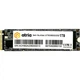 Накопитель SSD M.2 2280 1TB X500S ATRIA (ATNVMX500S/1024) - изображение 1