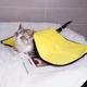 Рушник для собак із мікрофібри великий 100*50 см Dog Towel жовтий сірий (GS-177387) - зображення 6