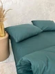 Бавовняна постільна білизна Сімейний 150х210 наволочка 2х50х70 Зелений (Р7-Post-rus-0035) - зображення 2