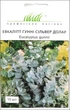 Семена Эвкалипт гунни Сильвер Доллар, 10 шт (Benary) - изображение 1