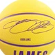 Мяч баскетбольный Wilson NBA Player Icon Mini Bskt Lebron Size 3 (WZ4007201XB3) - изображение 3