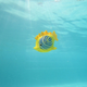 Інтерактивна іграшка Swims Rainbow Reef Zebra Fish 6072505 (681147058477) - зображення 2