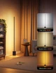 Умный торшер Govee Floor Lamp 2 Matter (Черный) H607C - изображение 3