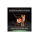 Сухой корм для кошек Purina Pro Plan Sterilised с лососем 3 кг (7613036517454) - изображение 5